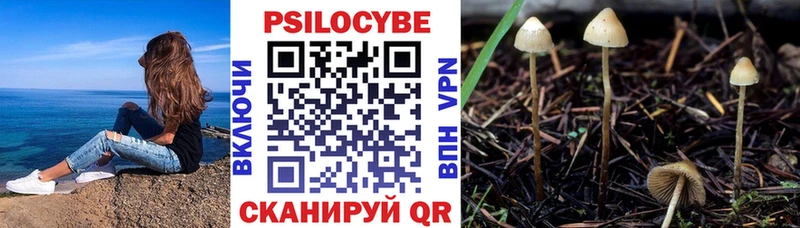 Псилоцибиновые грибы ЛСД  Хотьково 